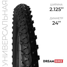 Tire 24 