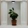 Night Pushlite "single" LED 1W 2haa black 10x10x4 cm Risalux