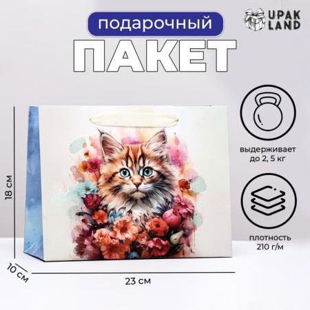 Laminated horizontal "cat", 23 x 18 x 10 cm laminate