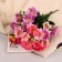 Bouquet "Astra Belgian" 14 flowers, d-5 cm h-30 cm, mix