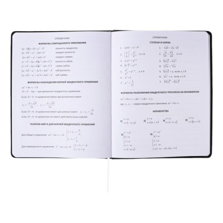 Universal diary for grade 1-11, solid cover, artificial leather, foil embossing, liesse, 80 g/m2-9