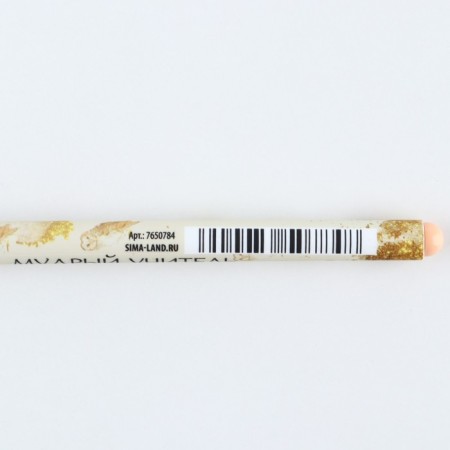 Pen Plastic "Wise Teacher", Blue Paste, 0.7 mm-3