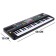 Synthesizer "Fashion Music", with a microphone, 44 keys