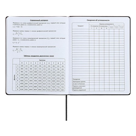 Universal diary for grades 1-11 "Geometry", a solid cover made of artificial leather, silkography, lies, 48 ​​sheets, a sisoma-black-13