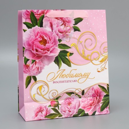 Gift Package Laminated, Packaging, “Educator”, ML 21 x 25 x 8 cm-4