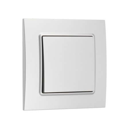 Tot Elegant switch, 10 a, 1 cl., Hidden, silver-1
