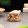 Souvenir "Turtle with money", gypsum concrete, 4 cm, 5x6x3.5 cm