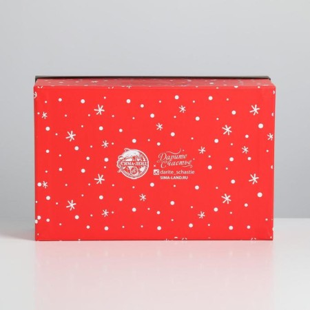 Gift box "with NG", 26 x 17 x 10 cm, new year-3