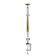 NLED-496-12W-G desktop lamp on a gold string