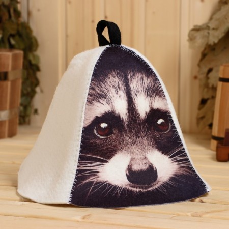 Raccoon