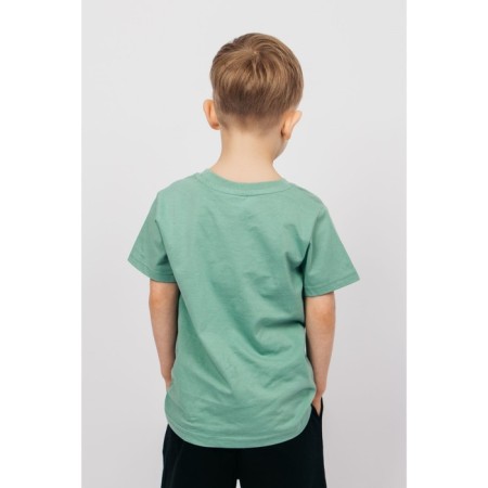 T -shirt for a boy, height 134 cm, color sage-1