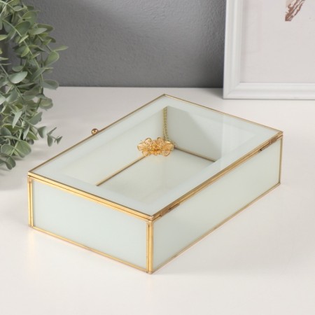 Casket glass with a metal frame "Bud" transparent white 16x24x7 cm-3