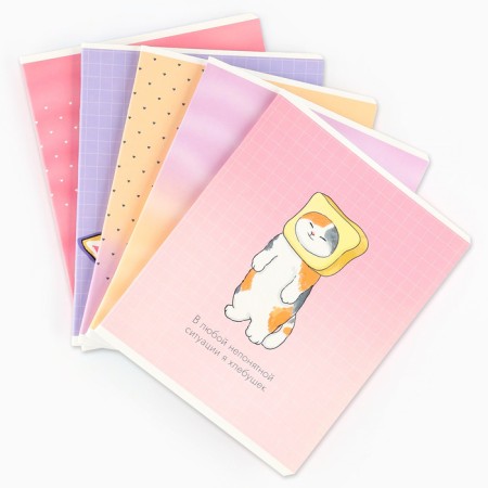 Notebook in a cage, 48 sheets A5 on a paper clip 5 pcs., Inner block No. 1 Mix “September 1: a cat with the paws” Twin Laca, UV lacquer-1