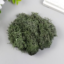 Artificial moss 