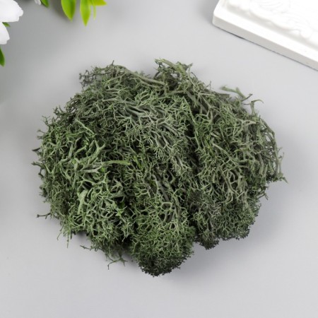 Artificial moss "khaki" 10 g