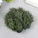 Artificial moss "khaki" 10 g