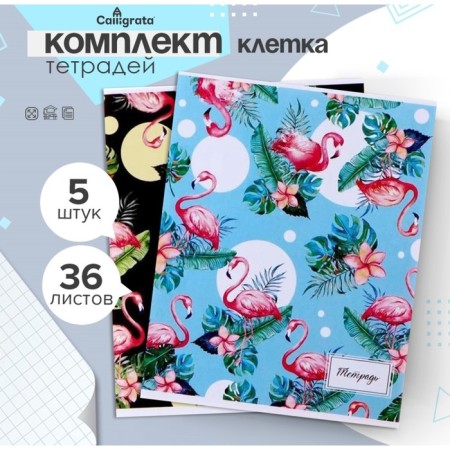 A set of notebooks of 5 pieces, 36 sheets in Calligrata Flamingo Calligrata, covered cardboard, offset block