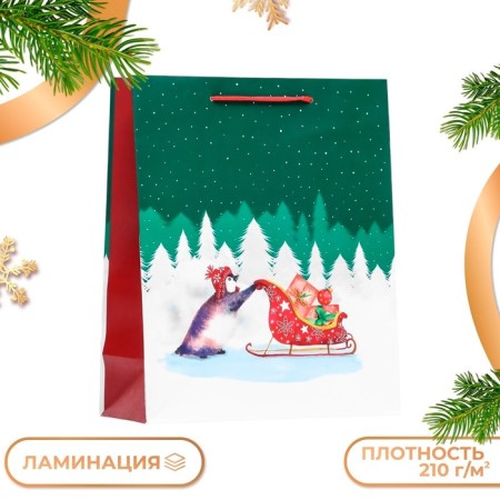 Gift package "Emergency Winter", 26 x 32 x 12 cm