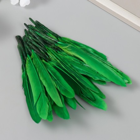 Decorative goose penis "bright green" set 30 pcs h = 10-12 cm