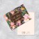 Set of mini-postcard "Universal", 20 pcs, 8 × 6 cm