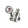 Редуктор давления STI, 1/2", с манометром, на выходе 1-6 бар, 1.9 м3/час, латунь