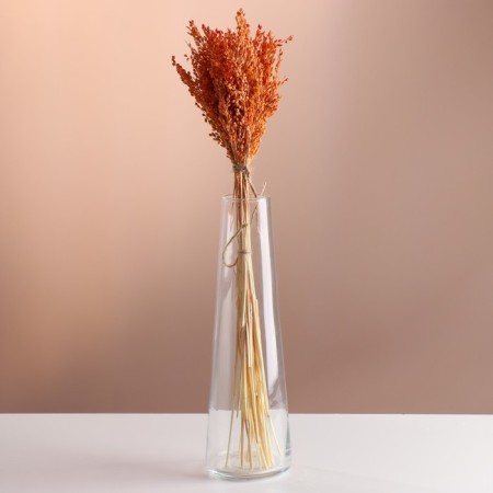 Set of dried flowers "millet", banch length 45 (+/- 6 cm), orange