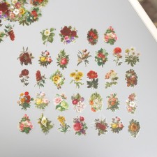 Stickers for creativity PLC PVC 