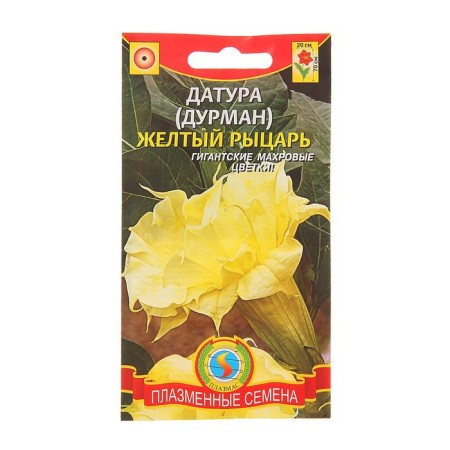 Durman "Yellow Knight", 3 pcs