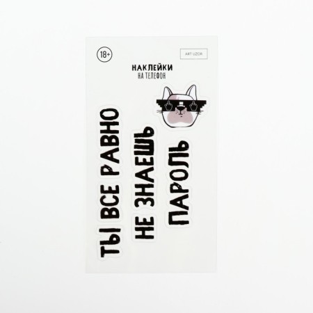 Stickers on the phone "Password" 8 x 14 cm