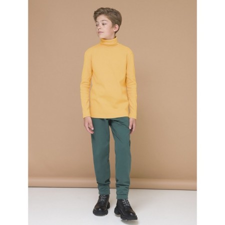 Turtleneck for the boy Pelican, height 122 cm, yellow color-3