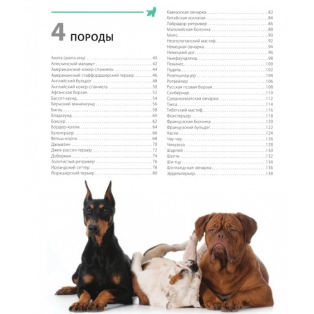 Dogs. Gift illustrated encyclopedia. Shklyaev A.N.-1