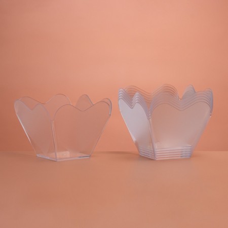 The form of plastic disposable for the cordial buffet, transparent, 40 pcs/units.-2