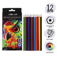 Pencils of 12 flowers Calligrata Soft, sharpened, hexagonal, plastic, cardboard packaging, euro suspension
