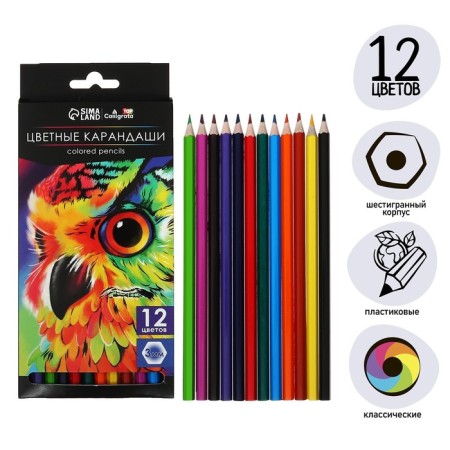 Pencils of 12 flowers Calligrata Soft, sharpened, hexagonal, plastic, cardboard packaging, euro suspension