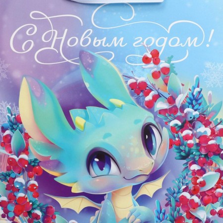 Laminated vertical package Happy New Year, ML 23 x 27 x 11.5 cm, New Year-6