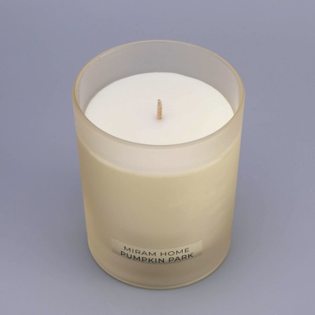 Aromatic candle in the glass "Pumpkin Park", pumpkin in caramel, 200 g-5