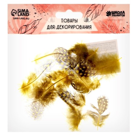 A set of feathers for decor 10 pcs., Size 1 pc: 5 × 2 cm, yellow color with brown-2