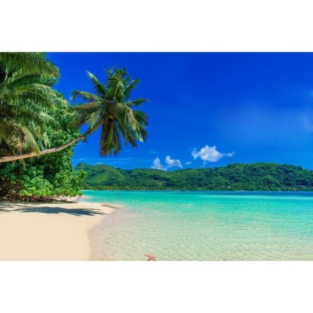 Photo Banner, 250 × 200 cm, with photo printing, eyelets step 1 m, "beach", Greengo
