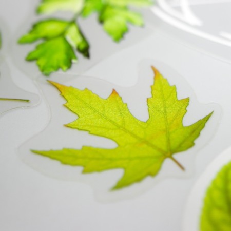 Stickers for creativity "Leaves in the Bank" set 35 pcs 12.5x9.1 cm-3