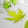 Stickers for creativity "Leaves in the Bank" set 35 pcs 12.5x9.1 cm