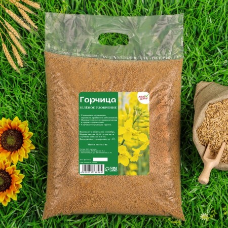 Seeds mustard, my choice, 5 kg