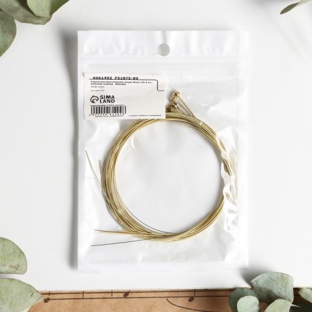 Strings for the acoustic guitar of Music Life 6 pcs., Brass braid-1
