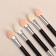 A set of applicators for shadows, with a brush, bilateral, 5 pcs, 7.5 cm, black/silver color
