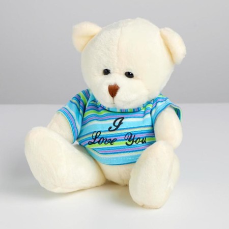 Soft toy "Bear in a T -shirt", Mix colors
