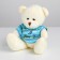 Soft toy "Bear in a T -shirt", Mix colors