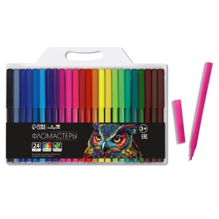 Fleeters 24 colors, Top calligrata, in the blister