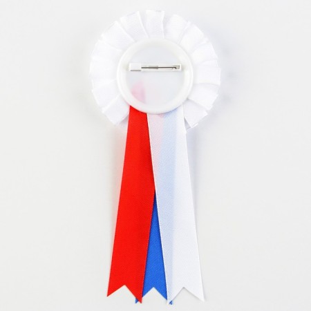 Icon - Order for graduation "graduate", d = 6.7 cm-4