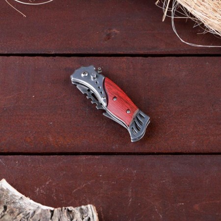 Folding "Pescar" 16.3cm, blade 70mm/1mm blade-1