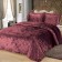 Set with a veil "Galaxia": size 240x260 cm, 50x70 cm - 2 pcs, color Bordeaux