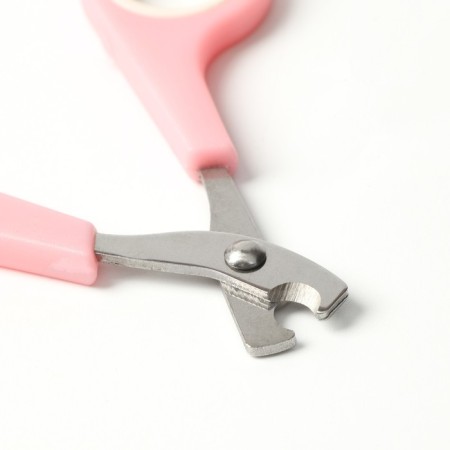 Carrying for claws: scissors-codlons (hole 6 mm) and a file, pink with white-2